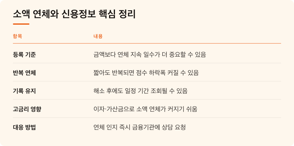 소액 연체와 신용정보 핵심 정리